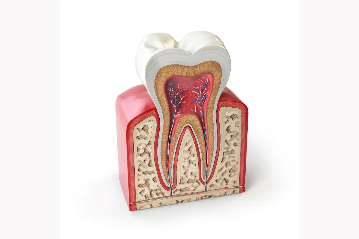 dental clinic